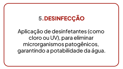 desinfecção