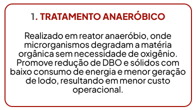 Tratamento ANAERÓBICO