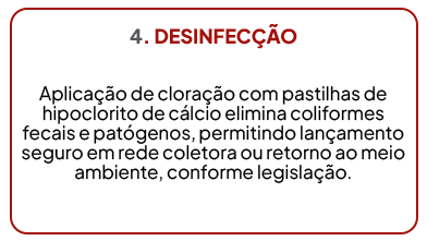 4. DESINFECÇÃO